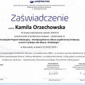 Powiększ obraz: certificate 13