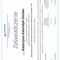 Powiększ obraz: certificate 3