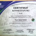 Powiększ obraz: certificate 1