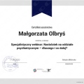 Powiększ obraz: certificate 20