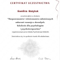 Powiększ obraz: certificate 5