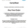 Powiększ obraz: certificate 37
