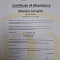 Powiększ obraz: certificate 4