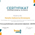 Powiększ obraz: certificate 3