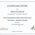 Powiększ obraz: certificate 15