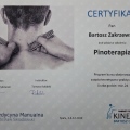 Powiększ obraz: certificate 17