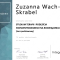 Powiększ obraz: certificate 2