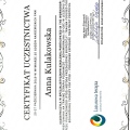 Powiększ obraz: certificate 4