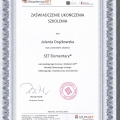 Powiększ obraz: certificate 8