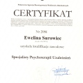 Powiększ obraz: certificate 4
