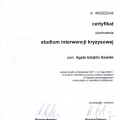 Powiększ obraz: certificate 11
