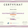 Powiększ obraz: certificate 7