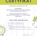 Powiększ obraz: certificate 4