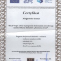 Powiększ obraz: certificate 40