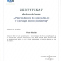 Powiększ obraz: certificate 112