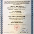 Powiększ obraz: certificate 3