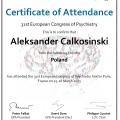 Powiększ obraz: certificate 2