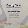 Powiększ obraz: certificate 6
