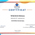 Powiększ obraz: certificate 13