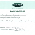 Powiększ obraz: certificate 2