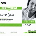 Powiększ obraz: certificate 1