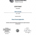 Powiększ obraz: certificate 5