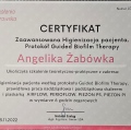 Powiększ obraz: certificate 1