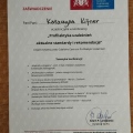 Powiększ obraz: certificate 10