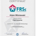 Powiększ obraz: certificate 1
