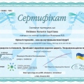 Powiększ obraz: certificate 10