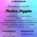 Powiększ obraz: certificate 3