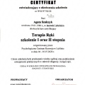 Powiększ obraz: certificate 4