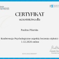 Powiększ obraz: certificate 4
