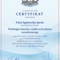 Powiększ obraz: certificate 50