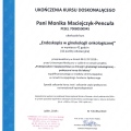 Powiększ obraz: certificate 11