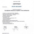 Powiększ obraz: certificate 2