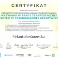 Powiększ obraz: certificate 3