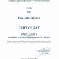 Powiększ obraz: certificate 6