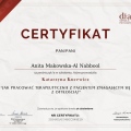 Powiększ obraz: certificate 1