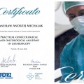 Powiększ obraz: certificate 26