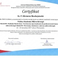 Powiększ obraz: certificate 11