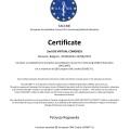 Powiększ obraz: certificate 13