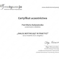 Powiększ obraz: certificate 1