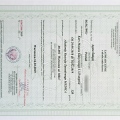 Powiększ obraz: certificate 3