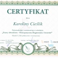 Powiększ obraz: certificate 7