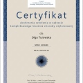 Powiększ obraz: certificate 1