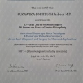Powiększ obraz: certificate 7
