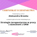 Powiększ obraz: certificate 2