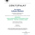 Powiększ obraz: certificate 419