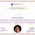 Powiększ obraz: certificate 13